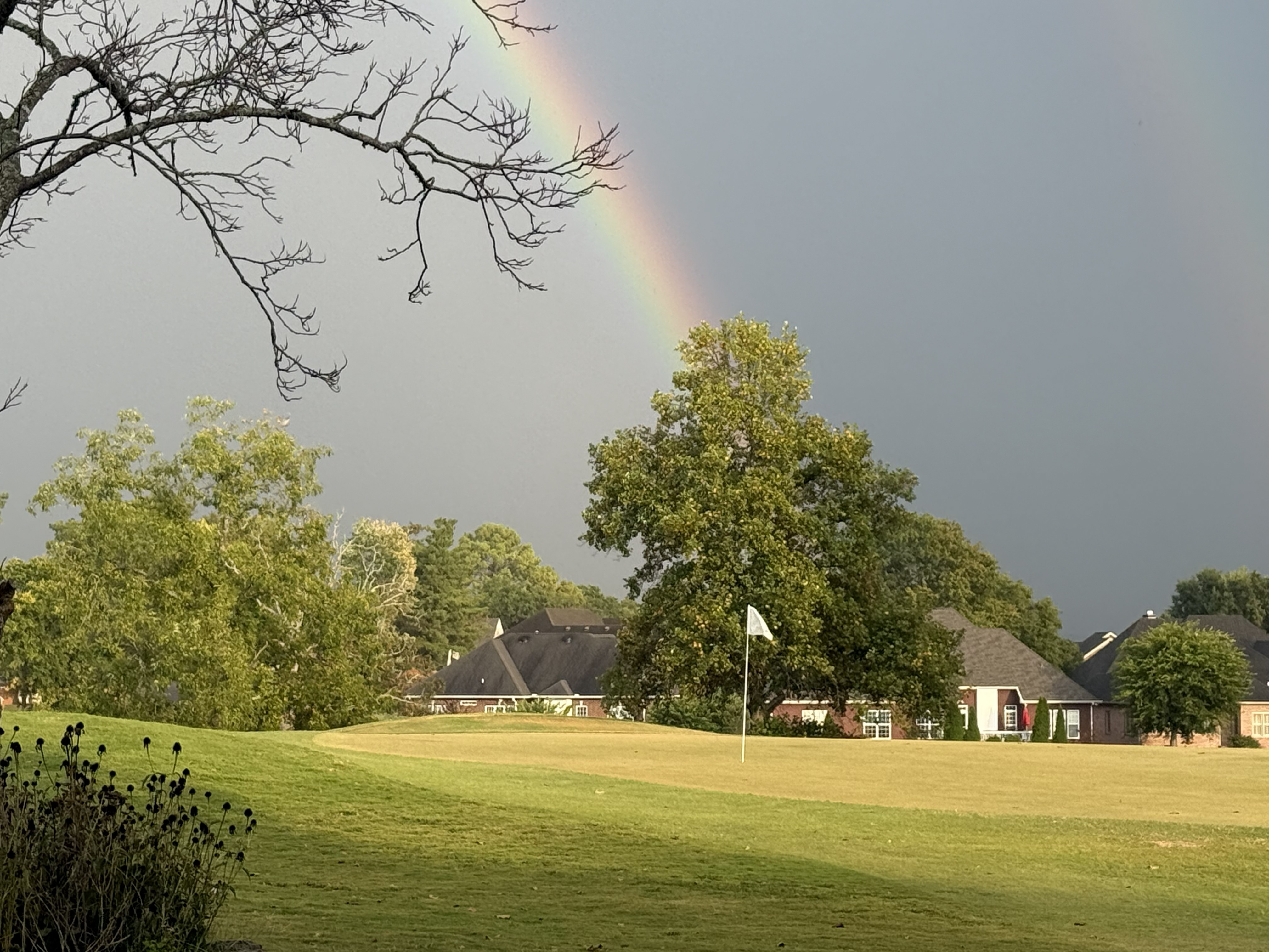 Course view with rainbow